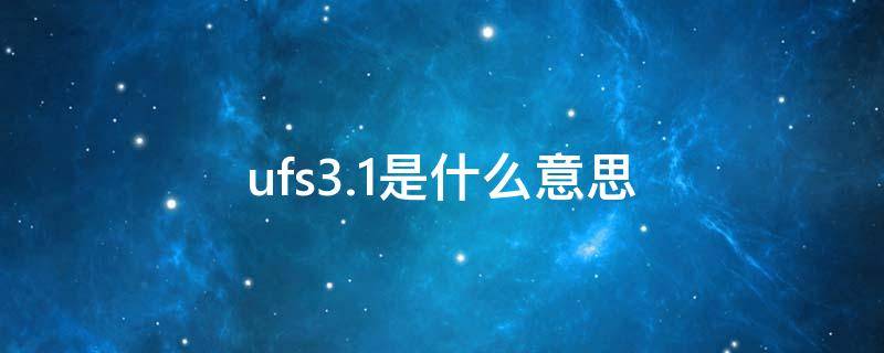 ufs3.1是什么意思（满血版ufs3.1是什么意思）