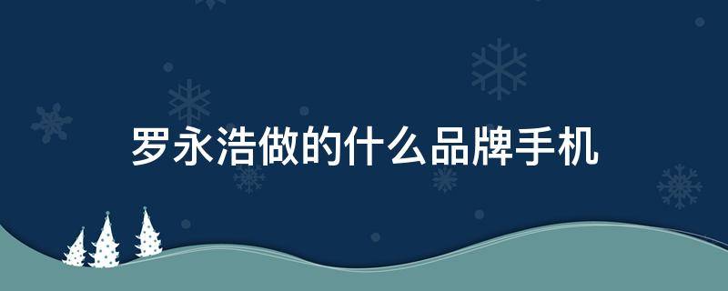 罗永浩做的什么品牌手机 罗永浩说手机厂商都是