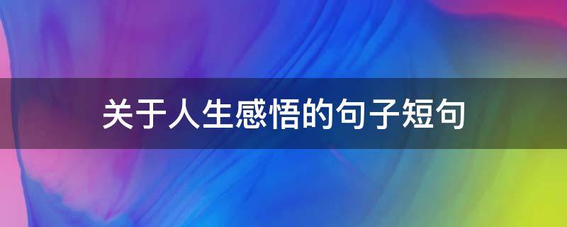 关于人生感悟的句子短句 人生感悟的句子长句子