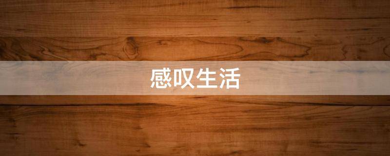 感叹生活 感叹生活不易的句子