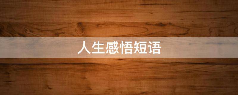 人生感悟短语 掏心掏肺人生感悟短语