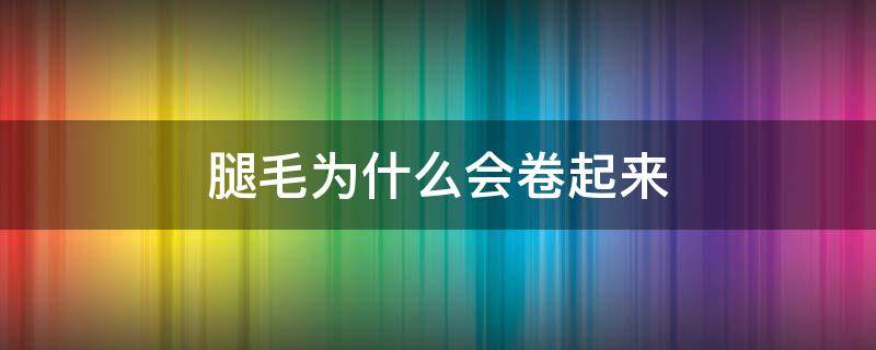 腿毛为什么会卷起来 腿毛都是卷的吗