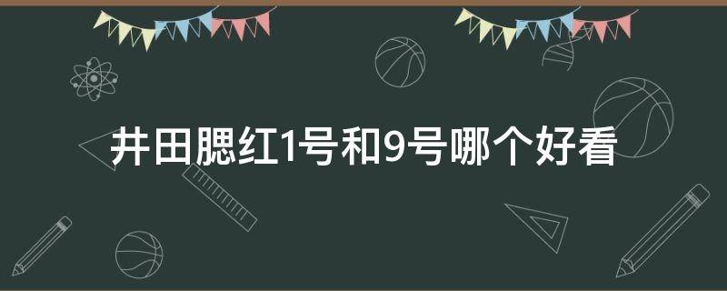 井田腮红1号和9号哪个好看（日本井田腮红哪个色号好）