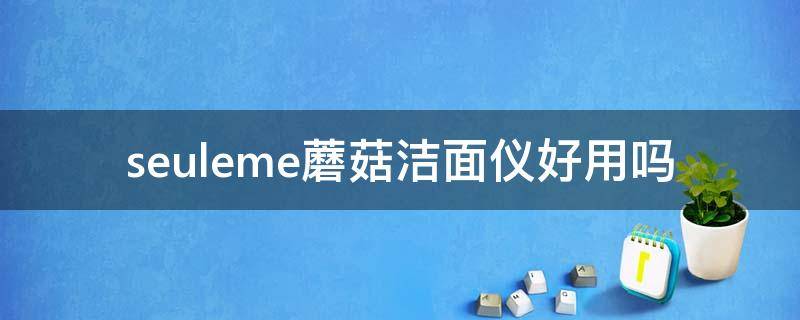 seuleme蘑菇洁面仪好用吗（菌菇润颜面膜）