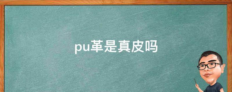 pu革是真皮吗 pu革是皮革吗
