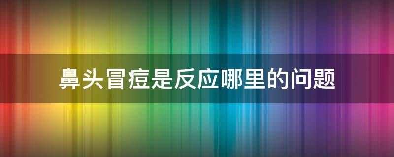 鼻头冒痘是反应哪里的问题（鼻头长痘是什么原因）