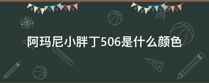 阿玛尼小胖丁506是什么颜色（阿玛尼小胖丁505是什么颜色）