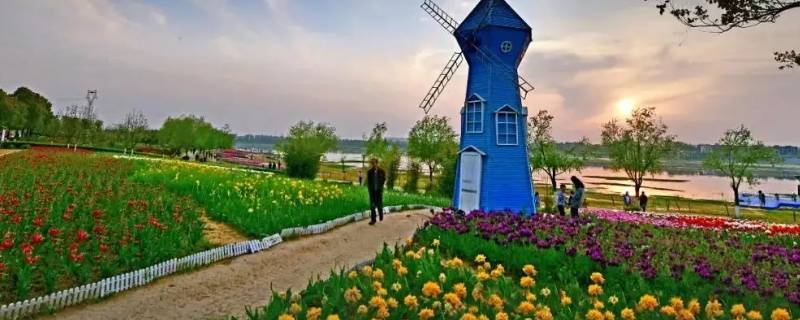 新野县属于贫困县吗 新野县是不是贫困县