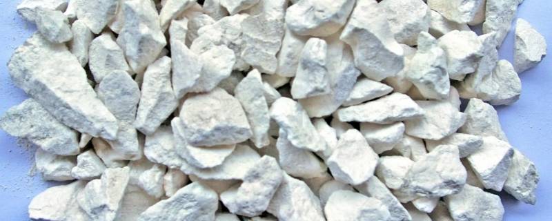 生石灰消毒干撒好还是化水泼 生石灰干撒消毒效果好还是石灰水效果好