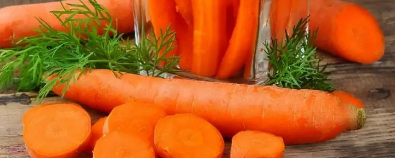 小人参是哪种蔬菜（哪种蔬菜被称为小人参）