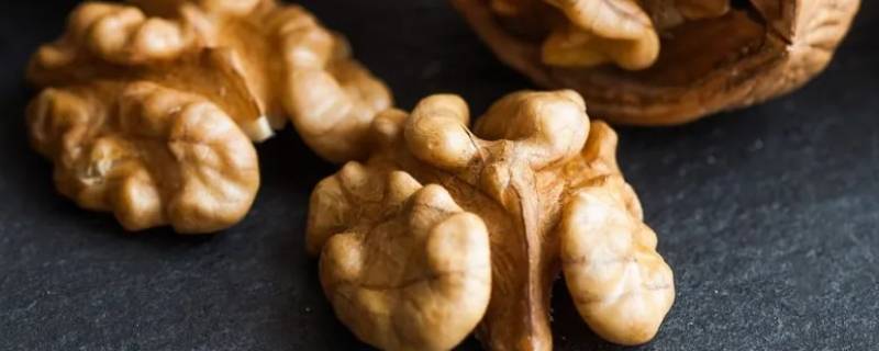 核桃属于什么种类（核桃是什么种类）