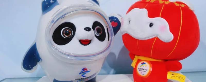 冰墩墩身上的标志是什么（冰墩墩身上的标志是什么标志）