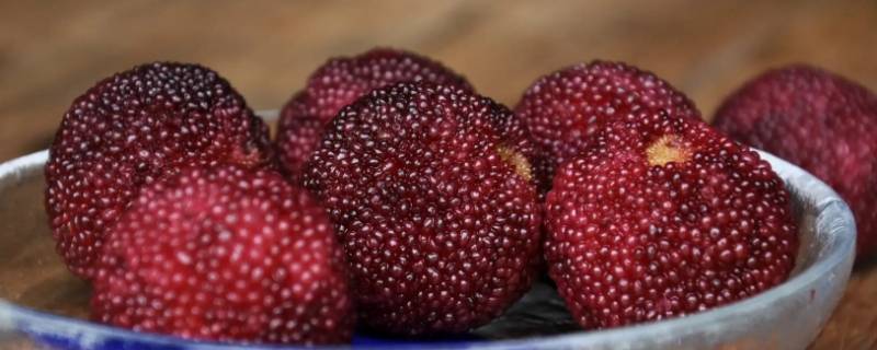 杨梅品种（杨梅品种图片大全）