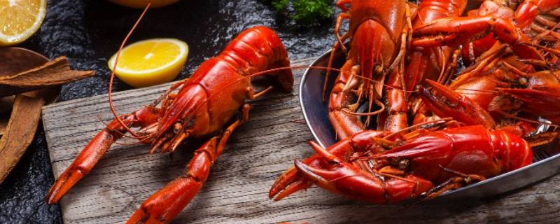 小青龙一般多大一只（小青龙多少钱一只）