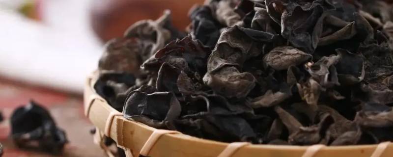 黑色食品都有哪些（黑色食品有哪些?）