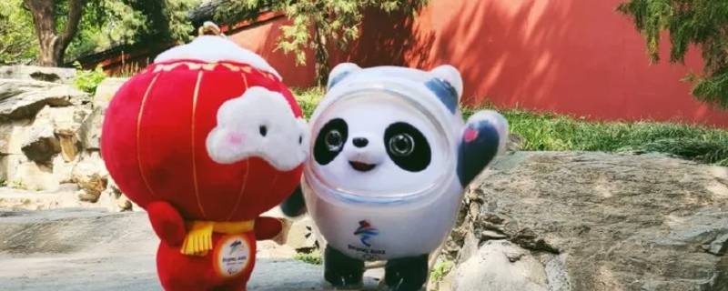 冰墩墩有啥用（冰墩墩有啥用那么贵）