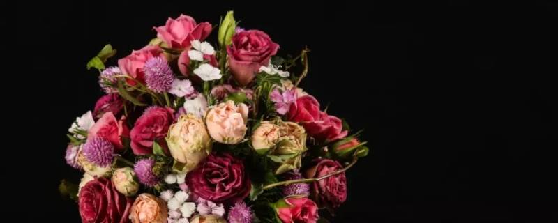 肉色玫瑰花语是什么意思 肉色玫瑰的花语是什么意思