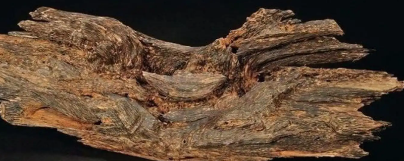 沉香到底是什么（沉香到底是什么颜色）