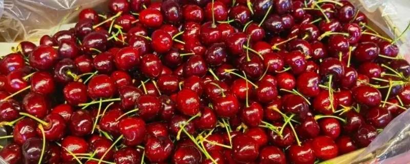 2j3j车厘子有什么区别（车厘子j2j3j的区别）