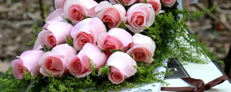 21朵粉玫瑰花代表什么意思 22朵粉玫瑰花代表什么