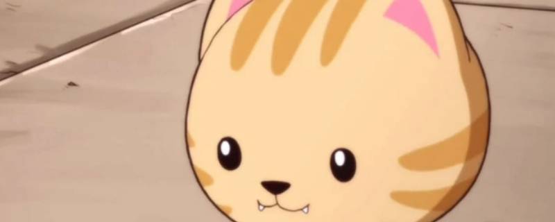 汉斯猫是哪国（汉斯猫是什么）