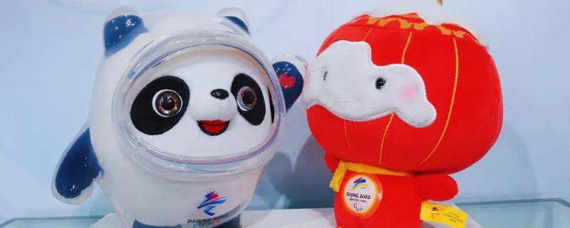 为什么冰墩墩有冰晶外壳（冰墩墩是什么样子的）