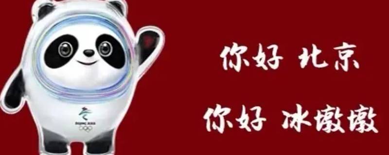 冰墩墩咋火的（冰墩墩样子）