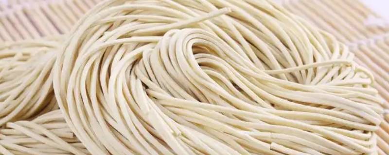 碱水面条和普通面条的区别（碱面是面条吗）