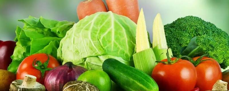 膳食纤维多的蔬菜有哪些（膳食纤维最多的蔬菜有哪些）