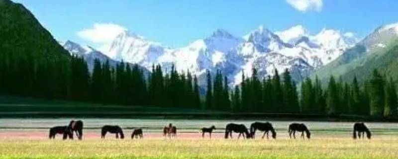 西域是现在的什么地方 古时西域是现在的什么地方