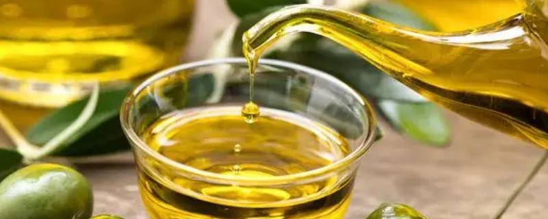 植物油的密度（食用植物油的密度）