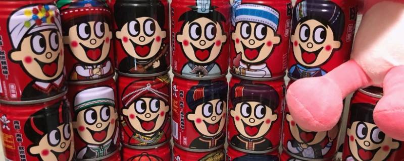 旺旺食品有哪些 旺旺食品有哪些分公司