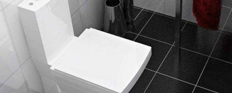 120斤蹲在马桶上要不要紧（120斤可以蹲在马桶上吗）