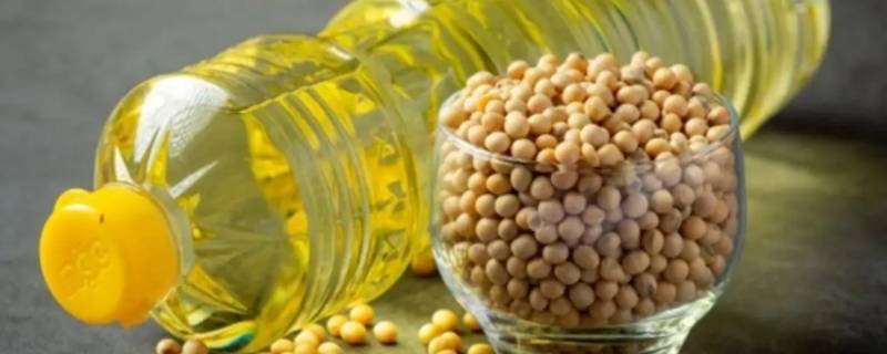 豆油怎么挑选是好豆油（豆油怎么挑选是好豆油奖酱油）