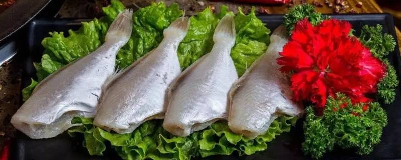 耗儿鱼是海鱼还是淡水鱼 耗儿鱼是淡水鱼还是海水鱼