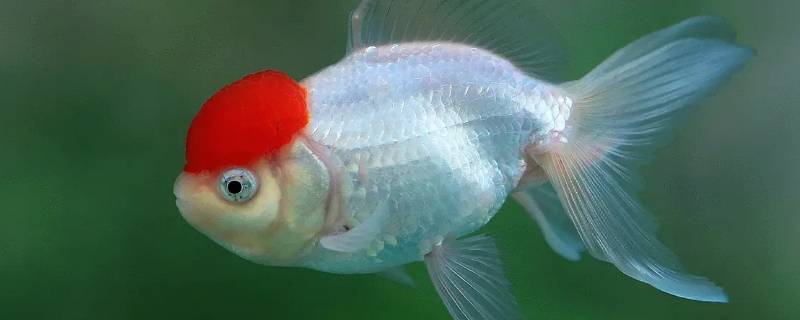 过水服务是什么意思（服务行业过水是什么意思）