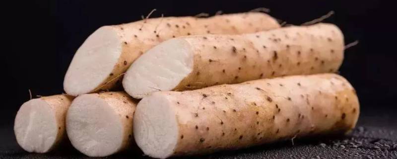 山药品种（山药品种有哪些）