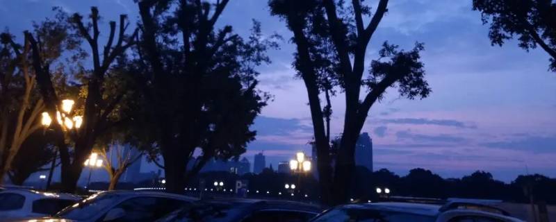 晚上为什么吹陆风 为啥晚上吹陆风