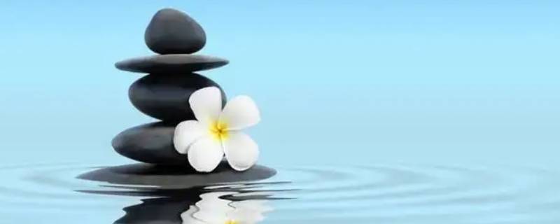 什么是强势文化和弱势文化（强势文化是指什么文化）