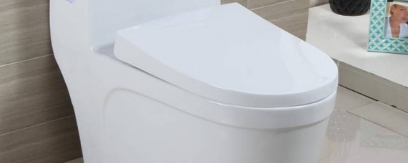 为什么马桶一上大号就会堵着（为什么马桶一上大号就堵了）