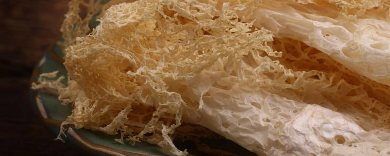 竹荪要浸泡多久才可以煮（竹荪煮之前要泡吗）