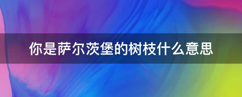 你是萨尔茨堡的树枝什么意思（萨尔茨堡的树枝的含义）