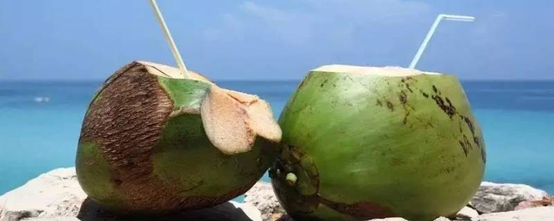 椰子如何打开（椰子如何打开小技巧）