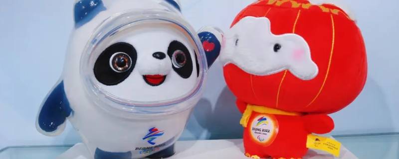 冰墩墩什么样子的（冰墩墩是什么样子）
