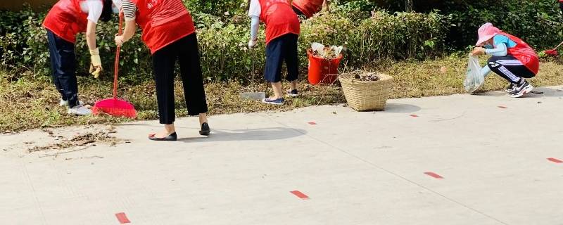 社区服务活动有哪些主题（社区服务活动主要内容）