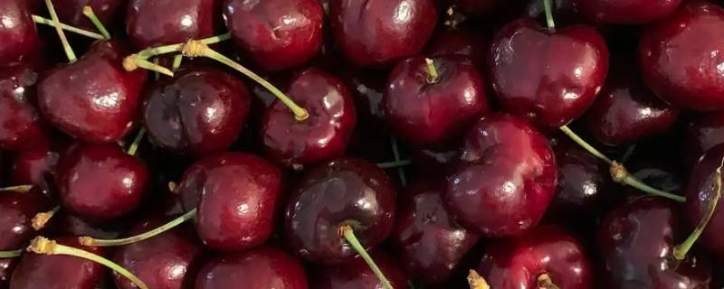 3jd代表什么意思（33j是什么意思）