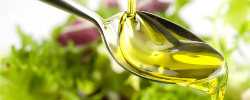 芥末油是什么提炼出来的 芥末油是什么提炼出来的图片