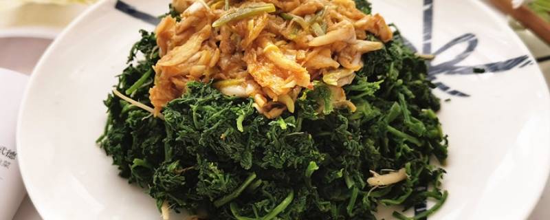 米蒿的吃法有几种 米蒿怎样吃