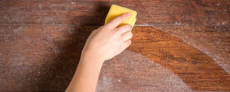 灰尘的特点 灰尘的特点有哪些