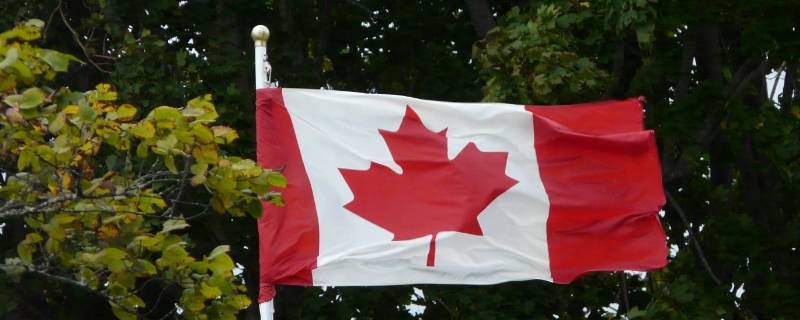 红色树叶是哪个国家的国旗 带树叶的国旗是哪个国家的国旗